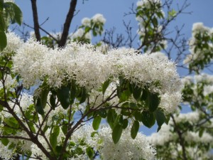 4月 16 熱田生涯学習センター