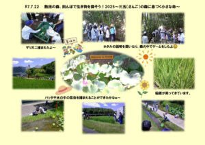 三五　ブログのサムネイル