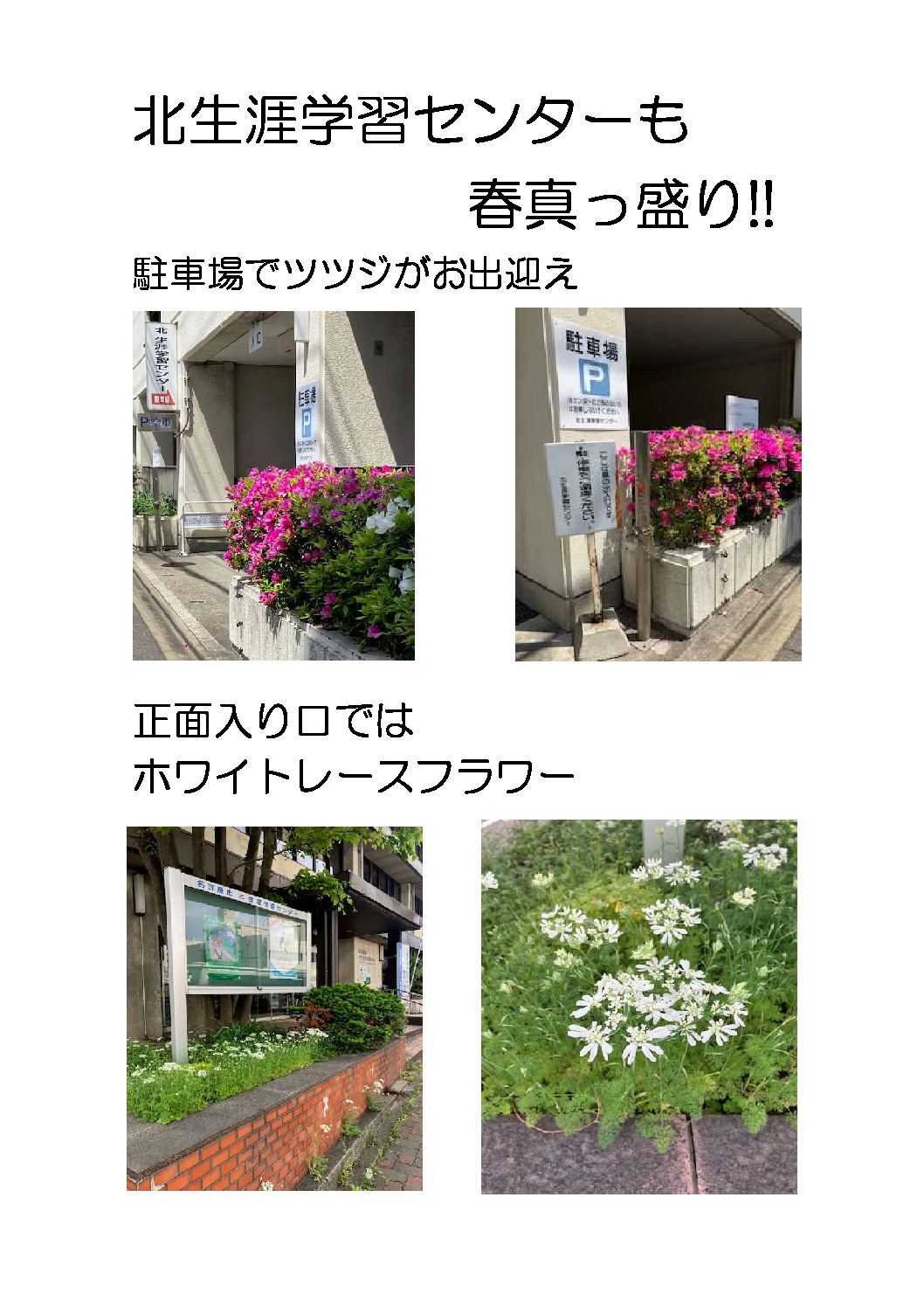 春真っ盛りのサムネイル