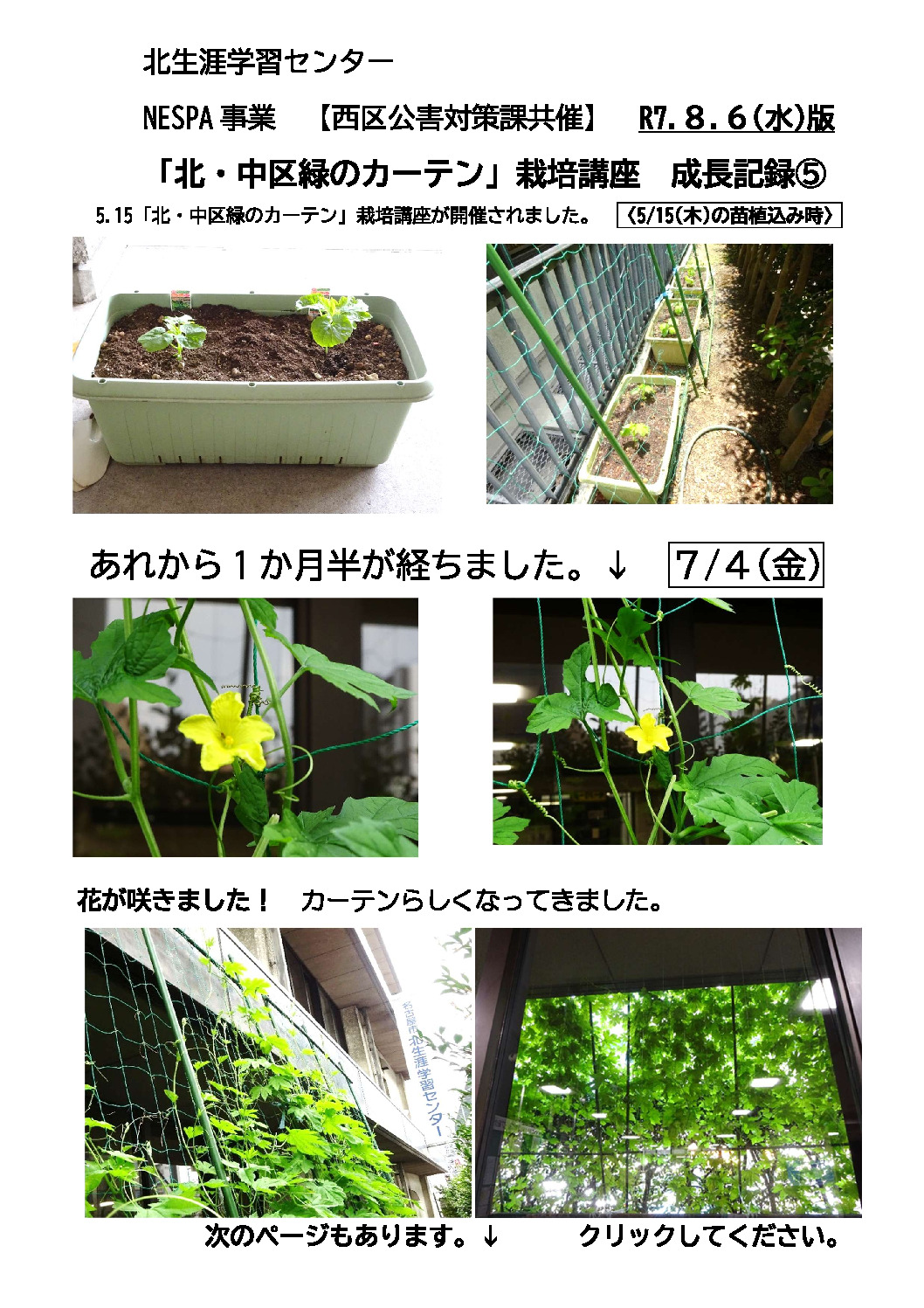 8.6ゴーヤブログ⑤のサムネイル