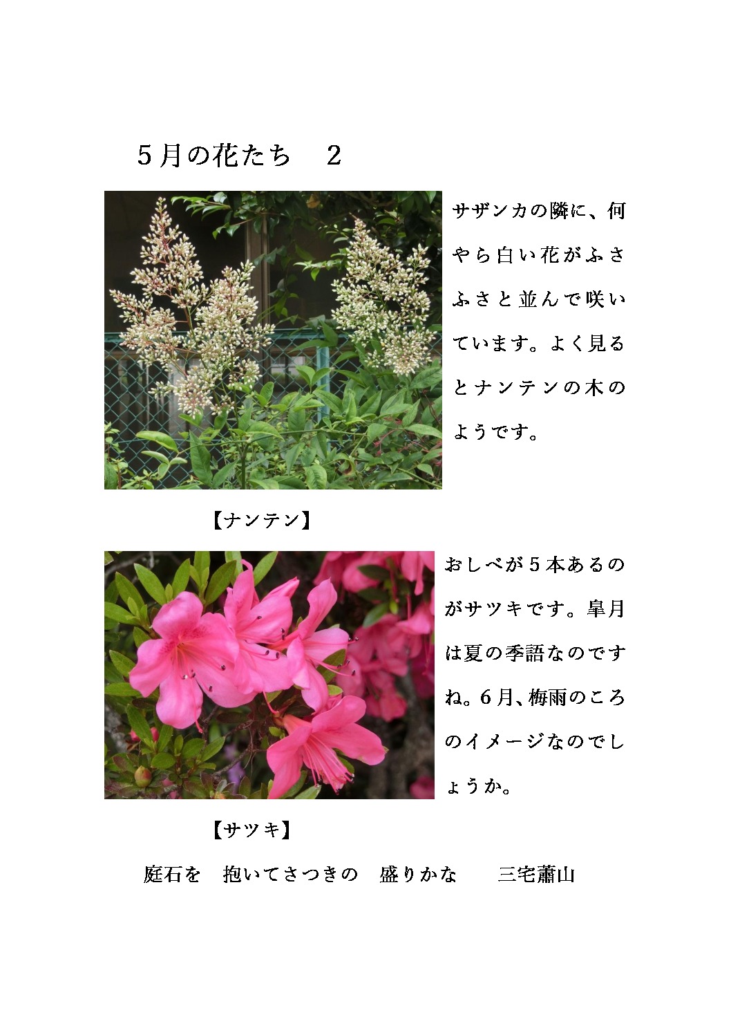 thumbnail of ５月の花たち　２