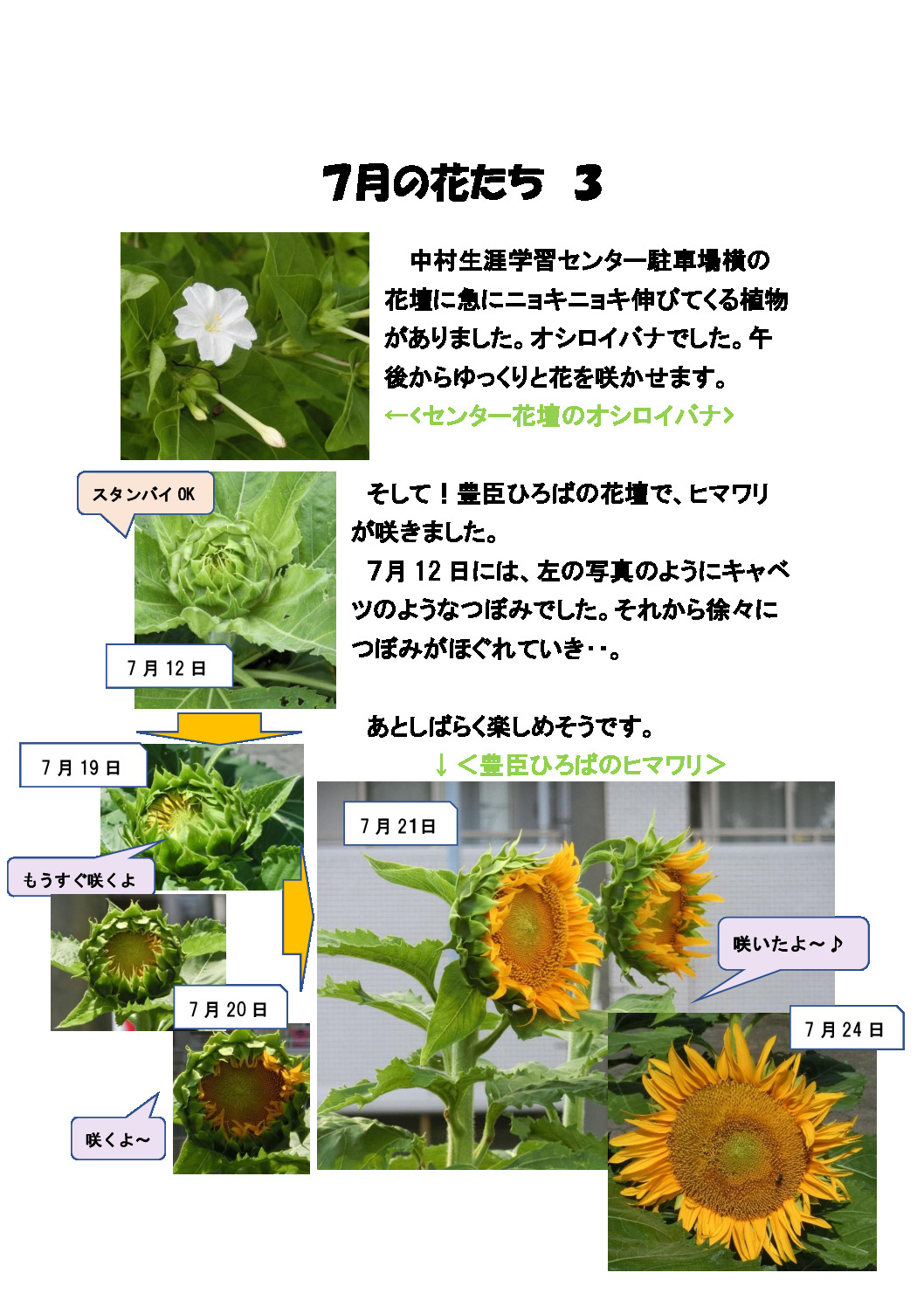 thumbnail of ７月の花たち3