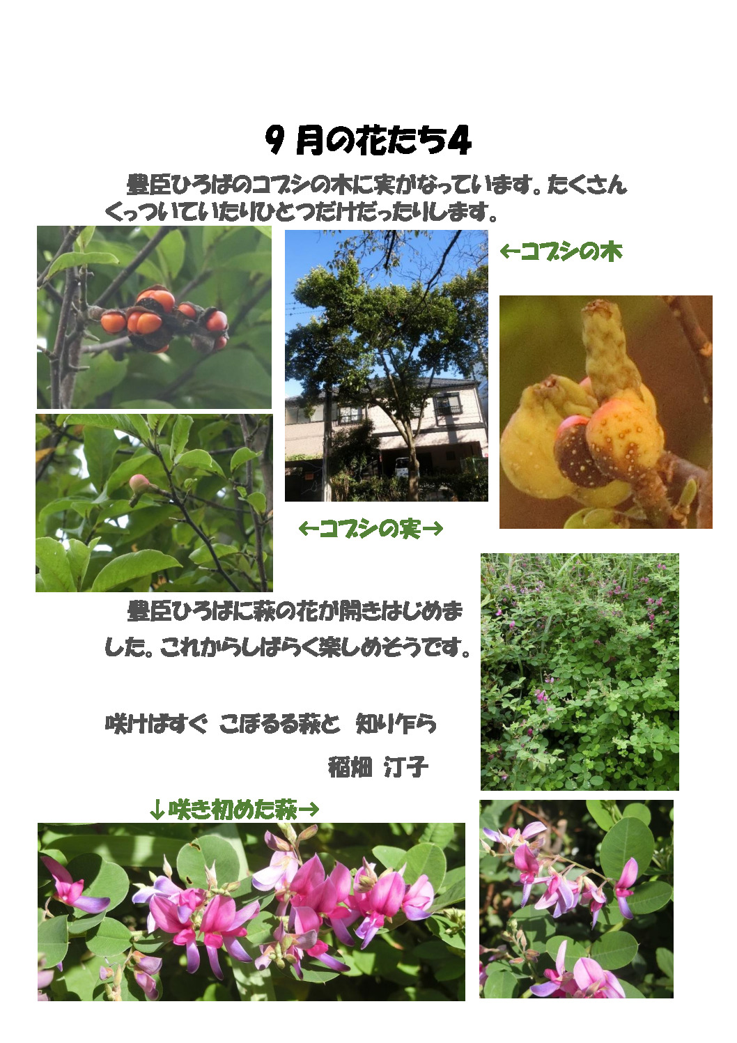 thumbnail of ９月の花たち4