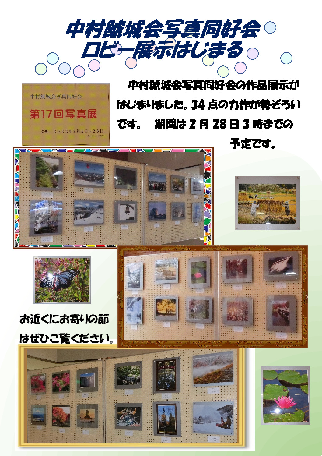 thumbnail of 写真同好会展示