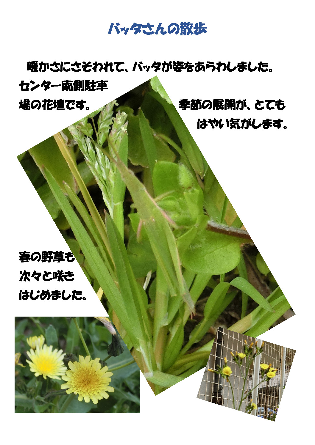 thumbnail of あ