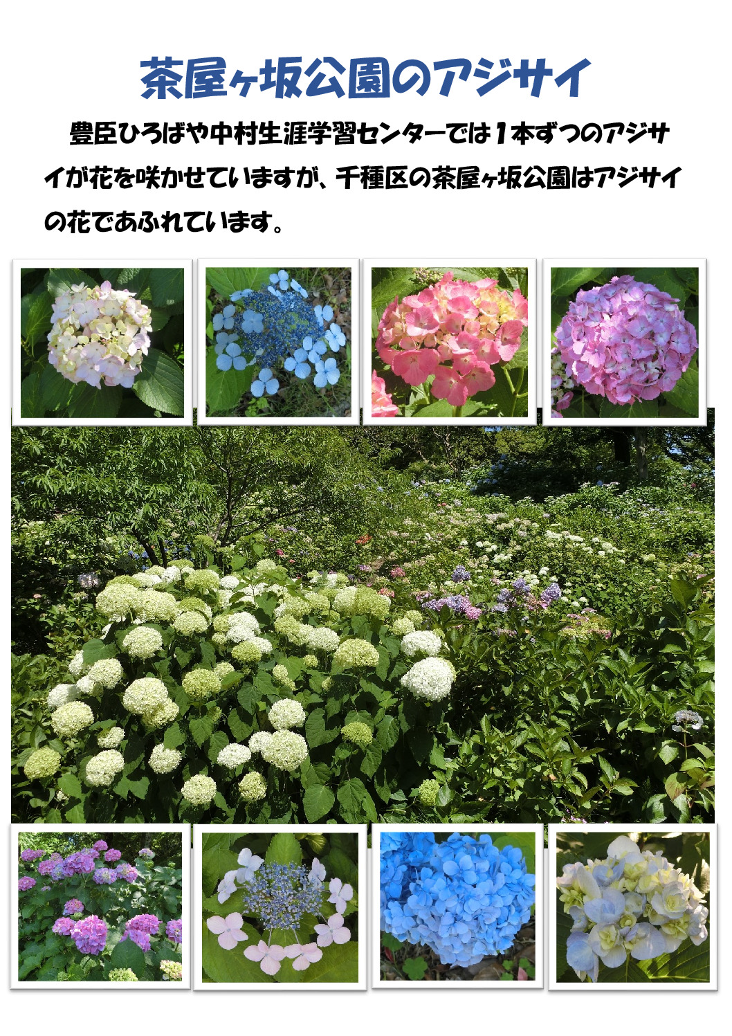 茶屋ヶ坂公園のサムネイル