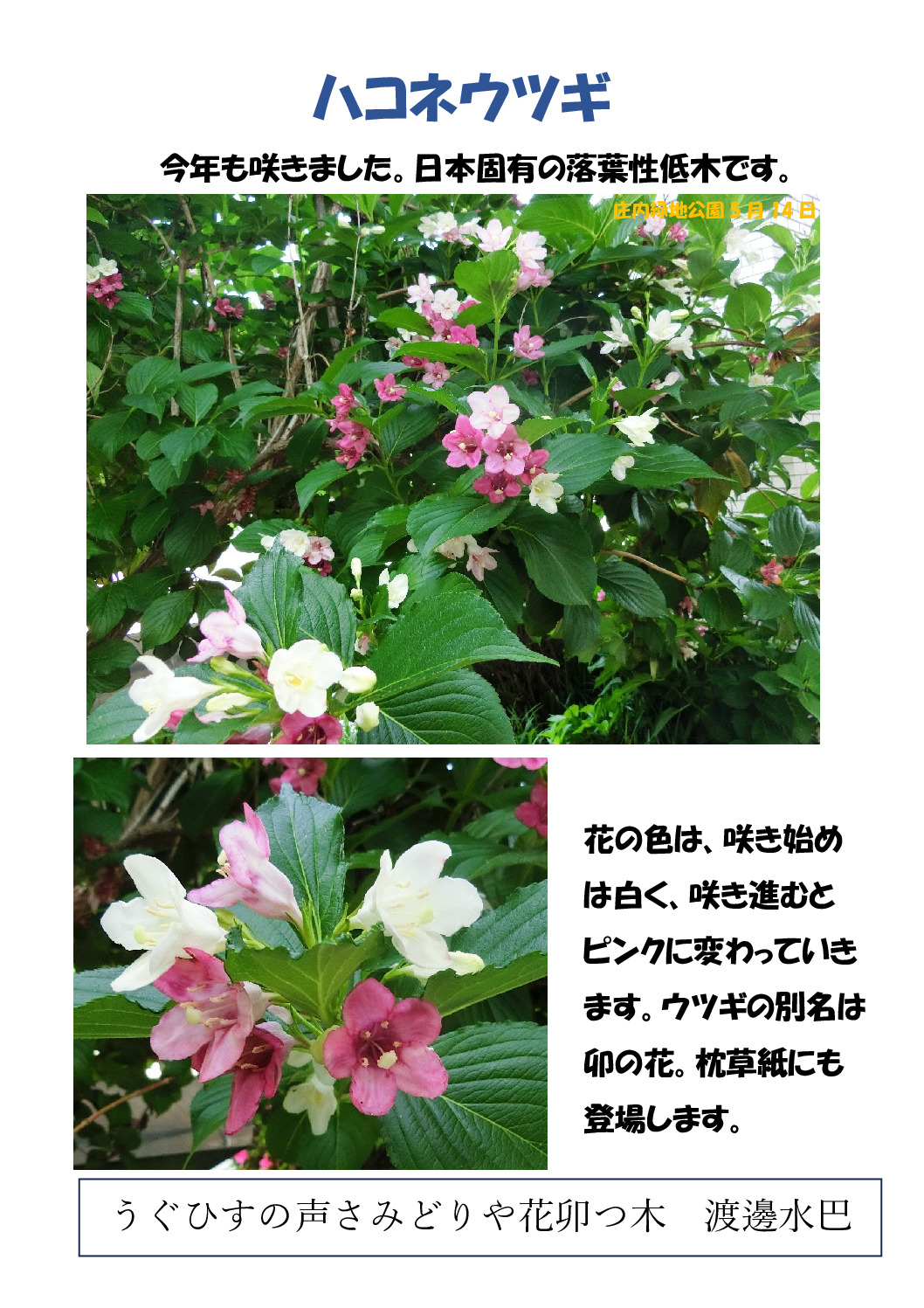 宇津木のサムネイル