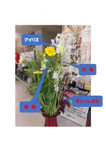 thumbnail of 野菜の花