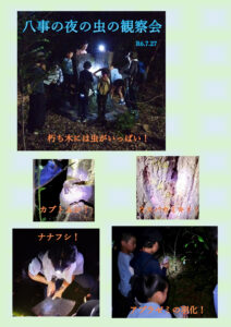 八事の夜の虫ブログのサムネイル