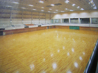 Arena 2