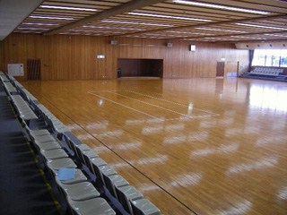 Arena 3