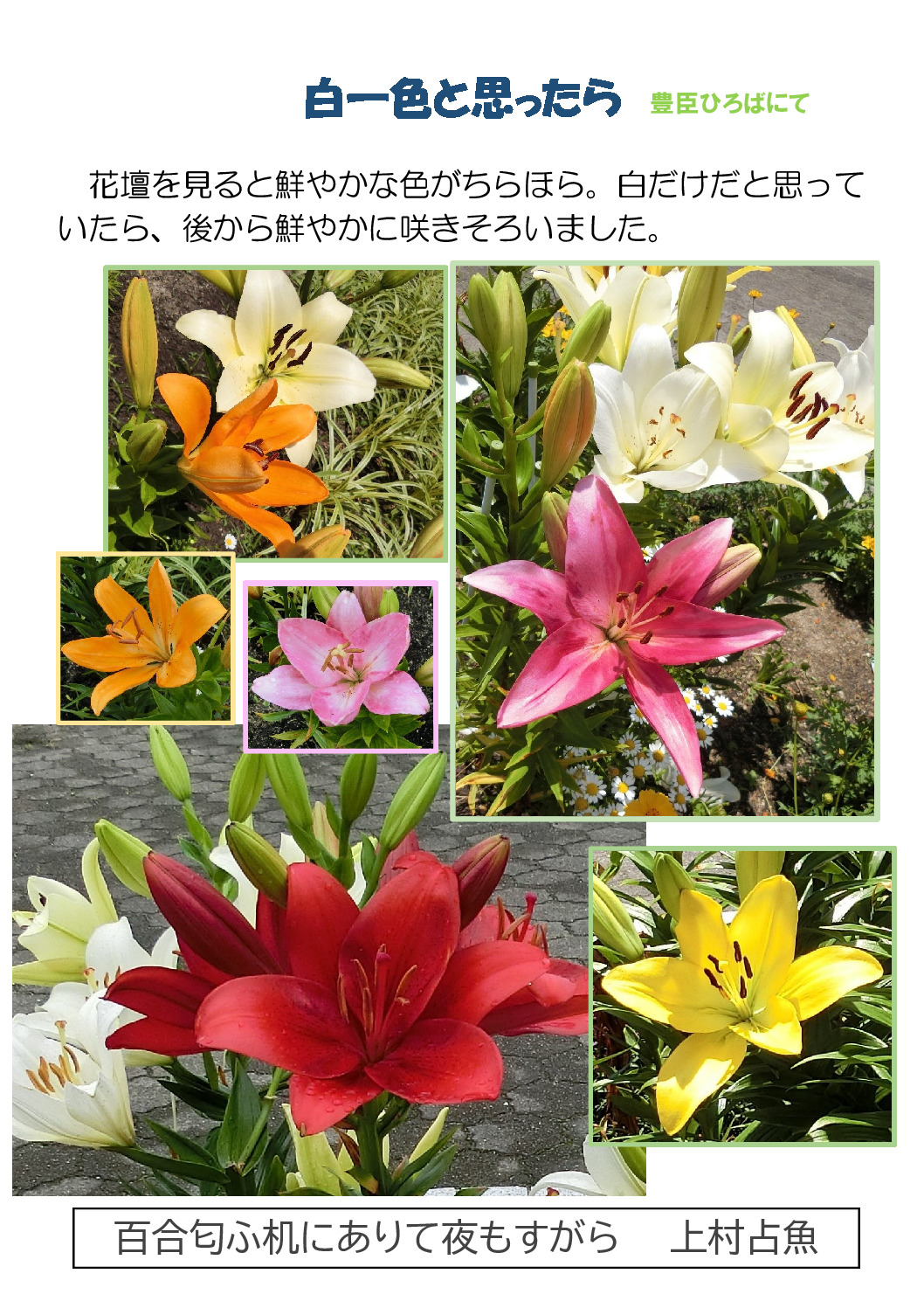 thumbnail of 白一色だと思ったら２