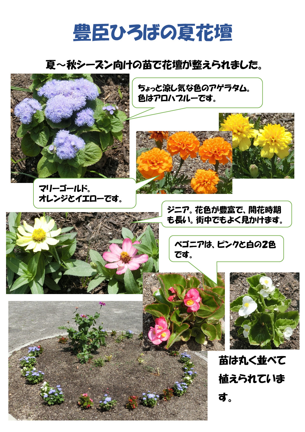 花壇のサムネイル