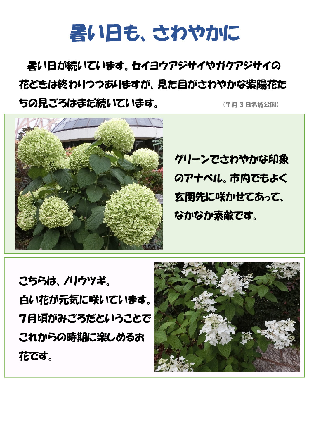 暑い日のサムネイル