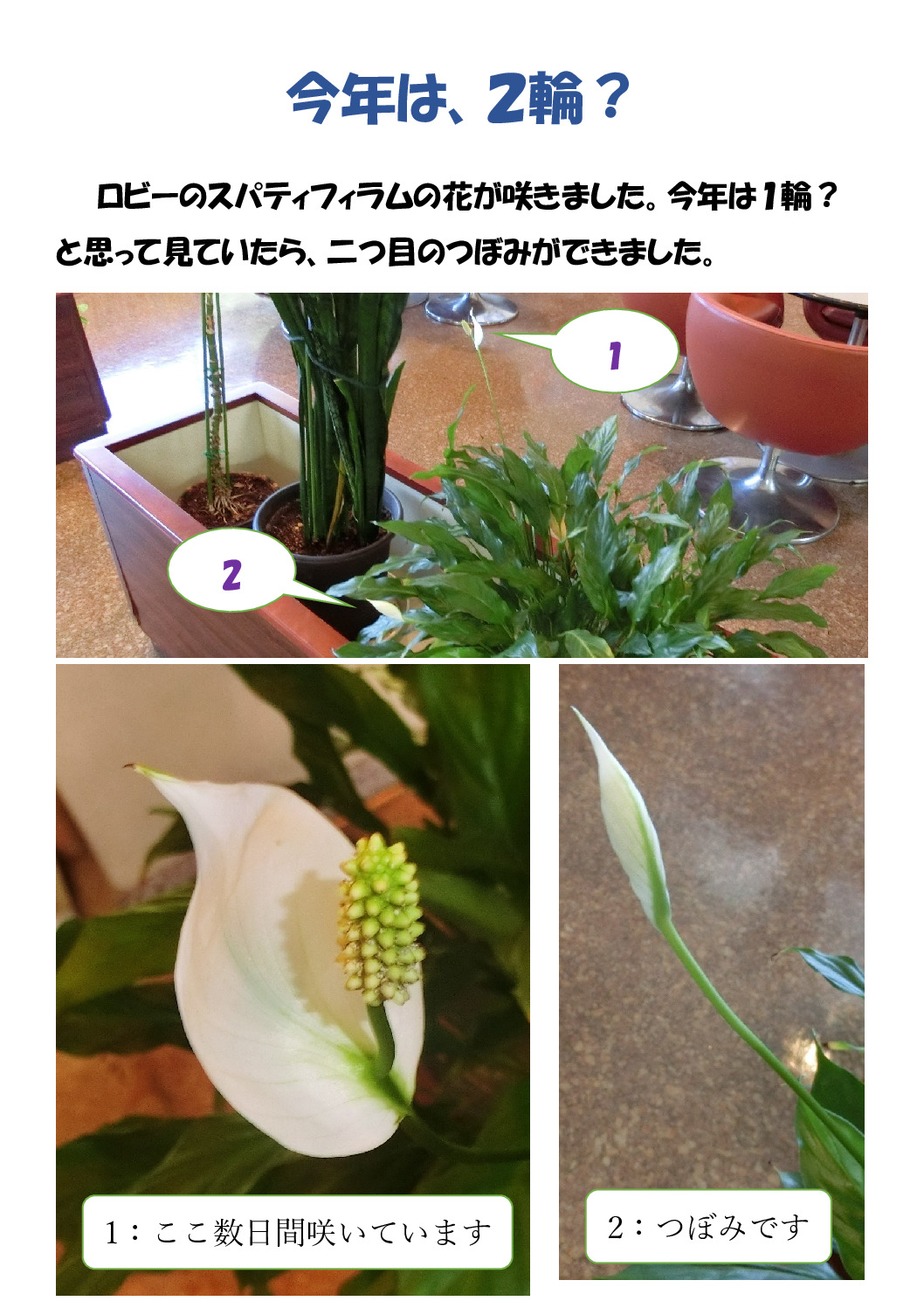 ２輪？のサムネイル