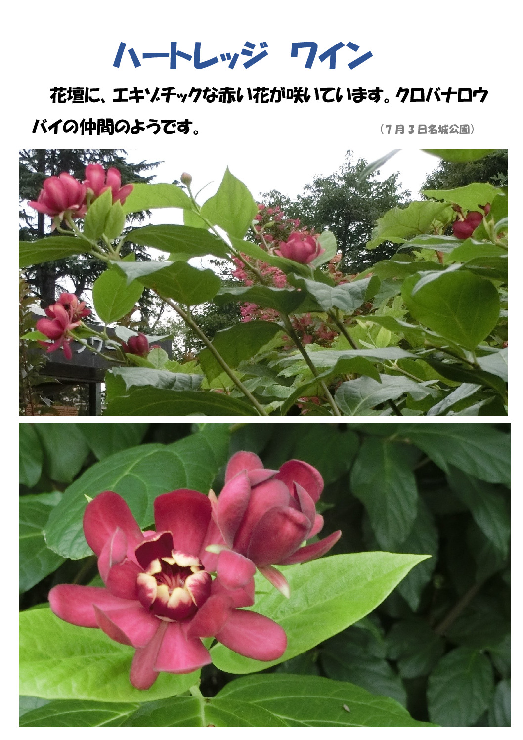 ハートレッジのサムネイル