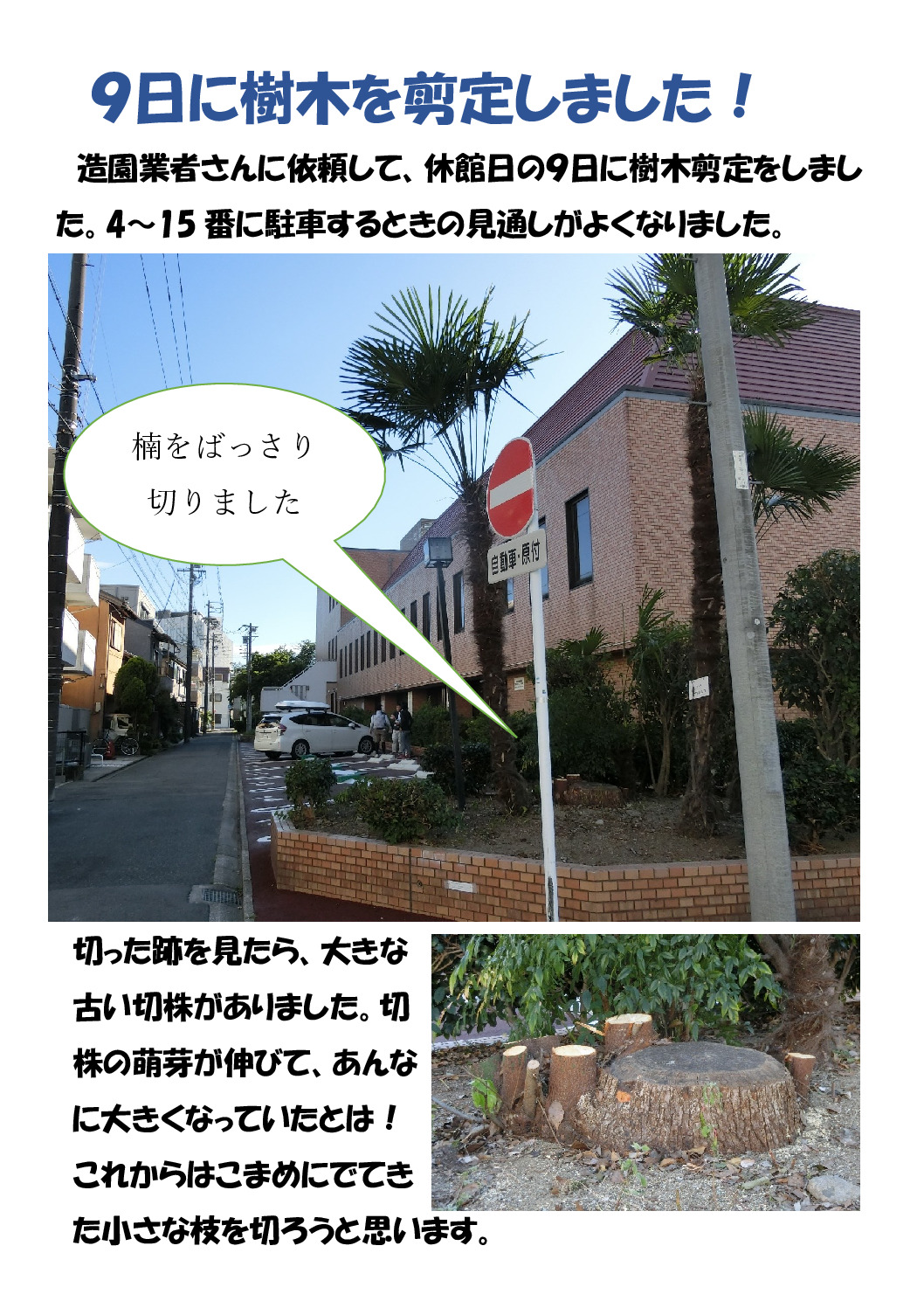 剪定のサムネイル
