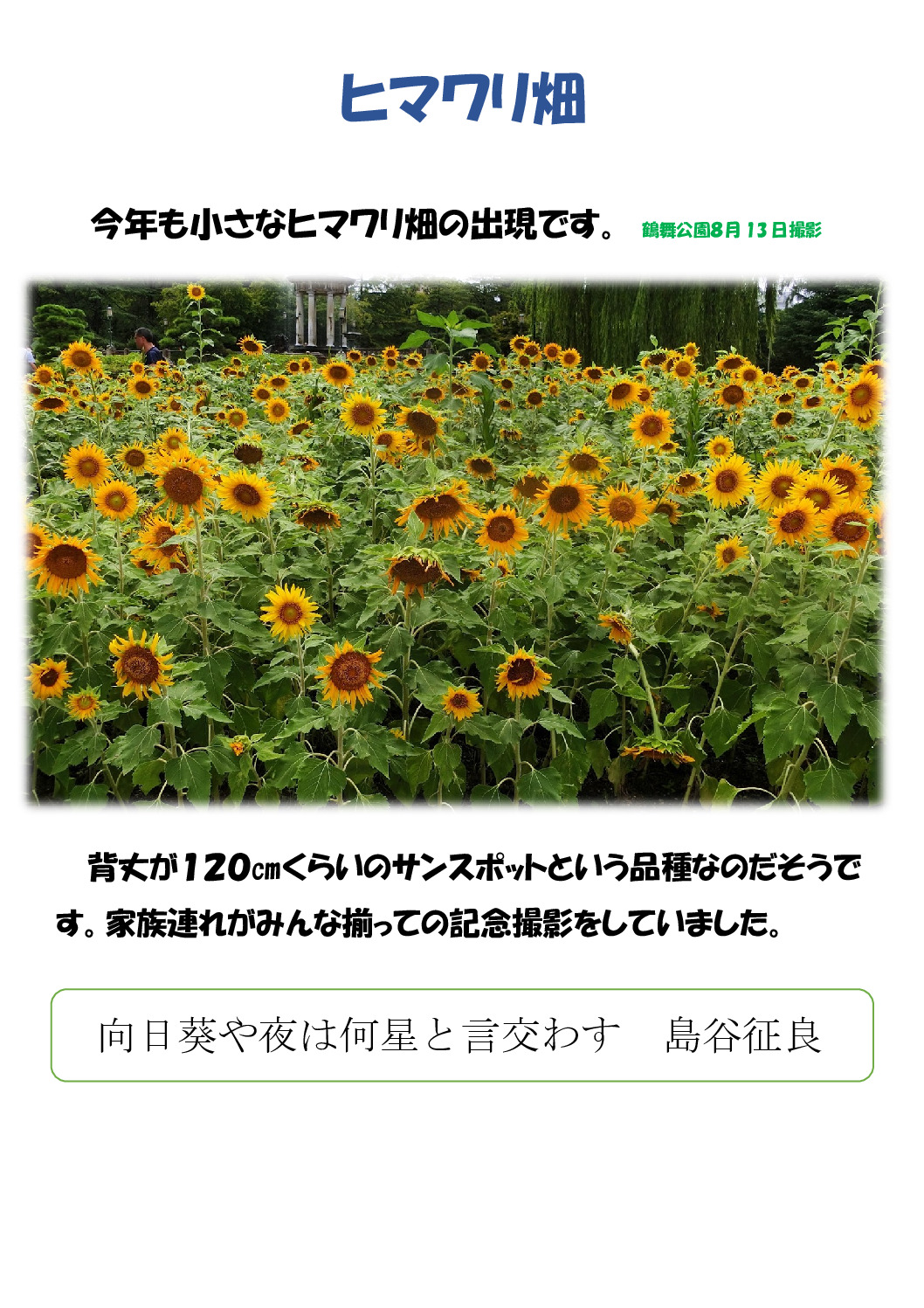ヒマワリのサムネイル