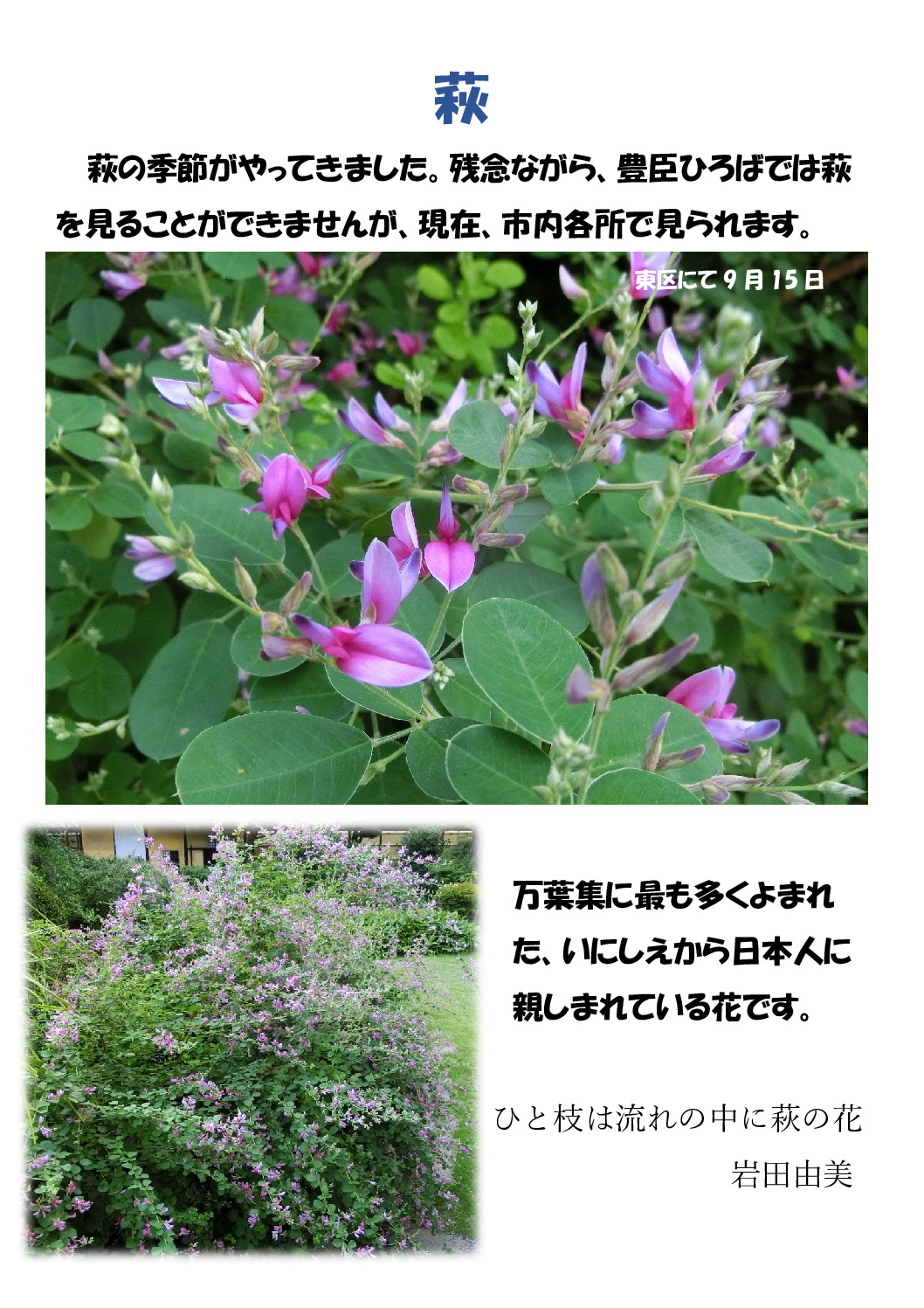 萩のサムネイル