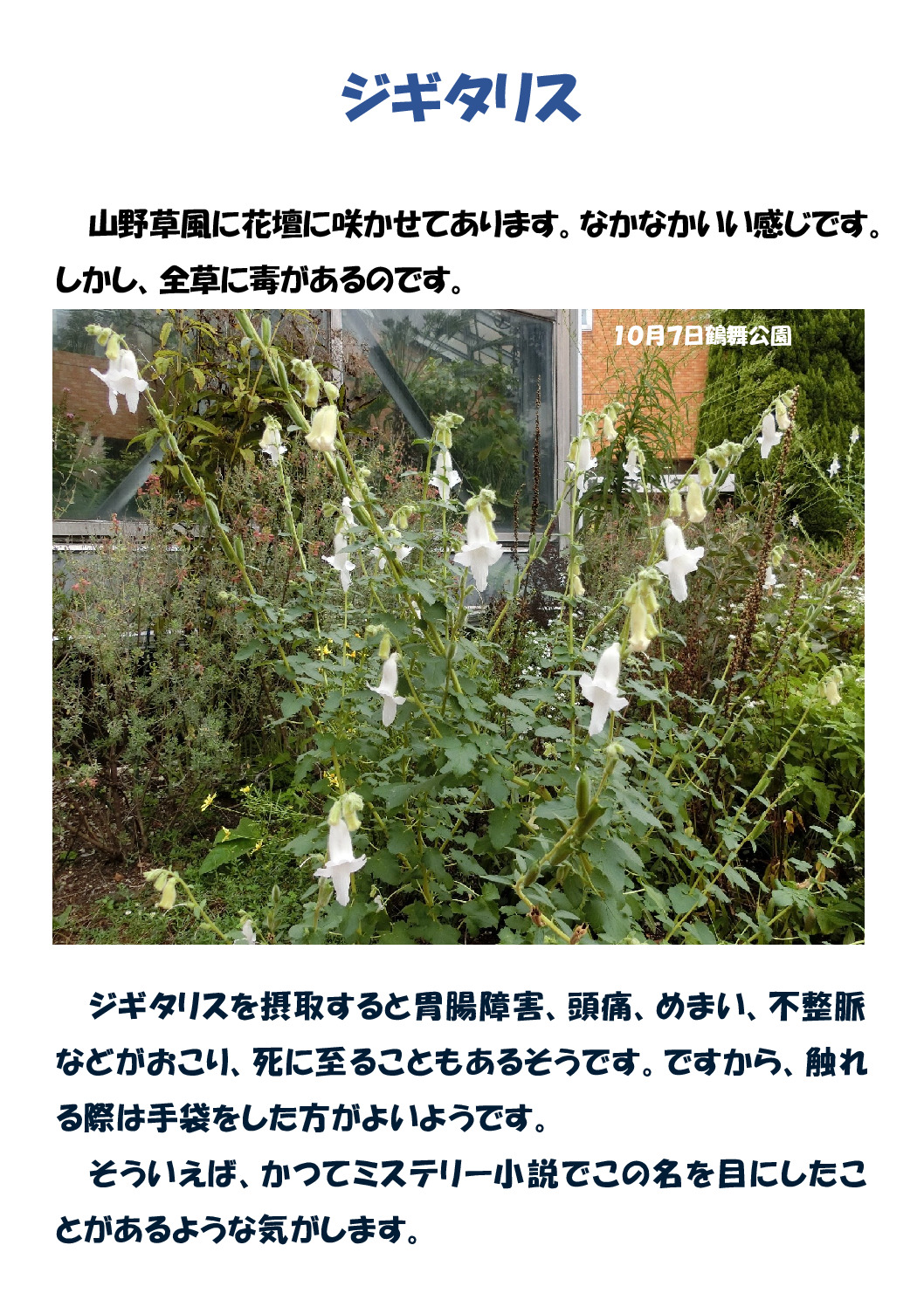 ジギタリスのサムネイル
