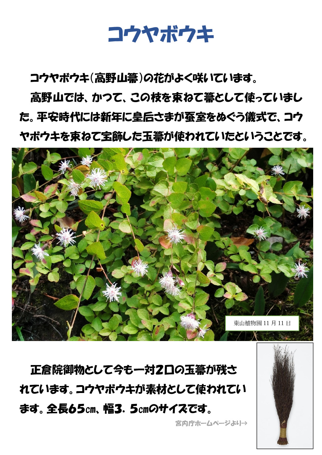 コウやのサムネイル