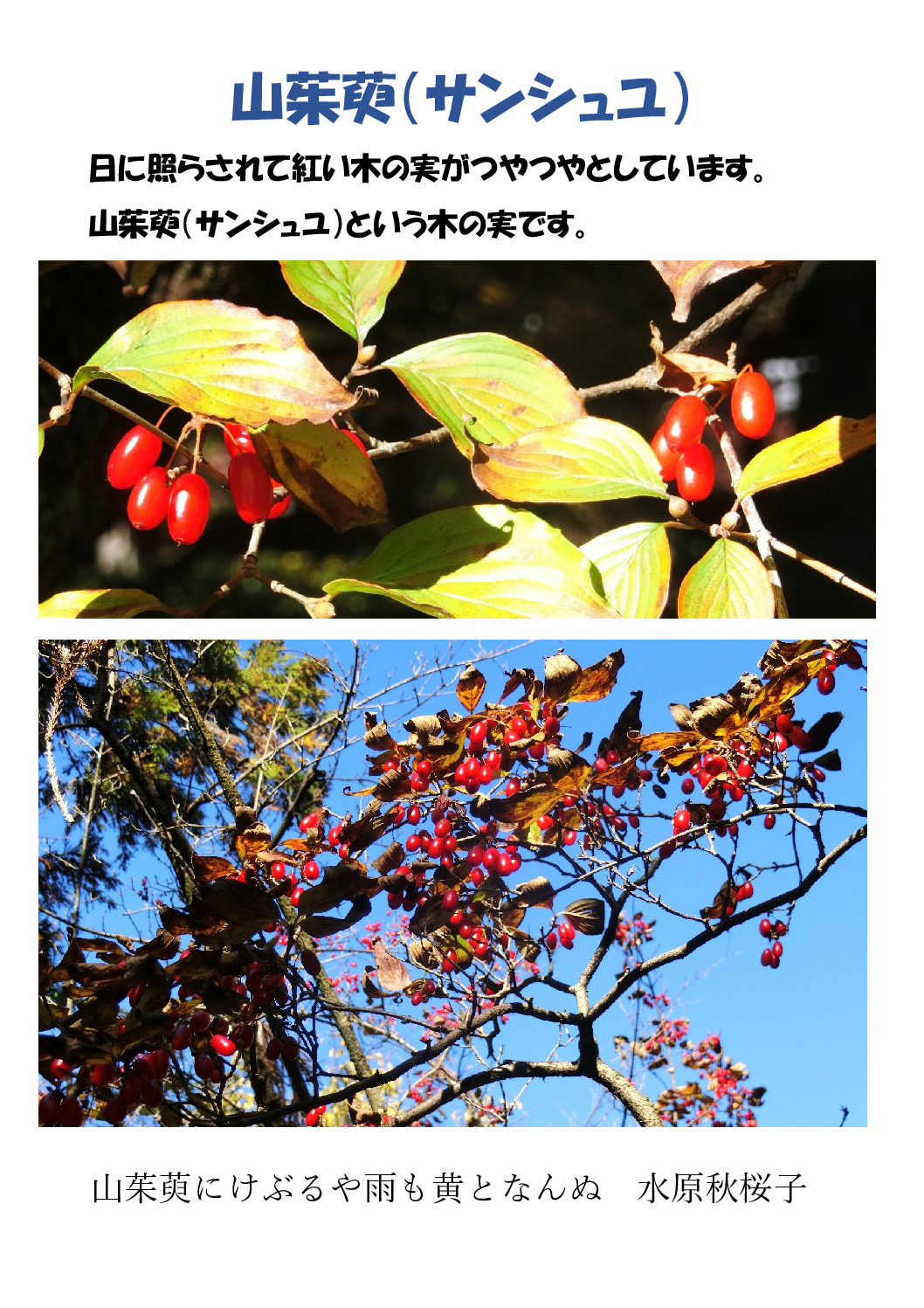 山のサムネイル