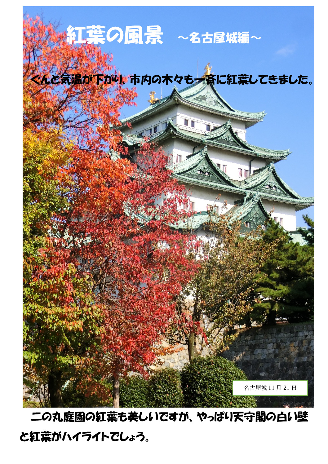 紅葉の名古屋のサムネイル