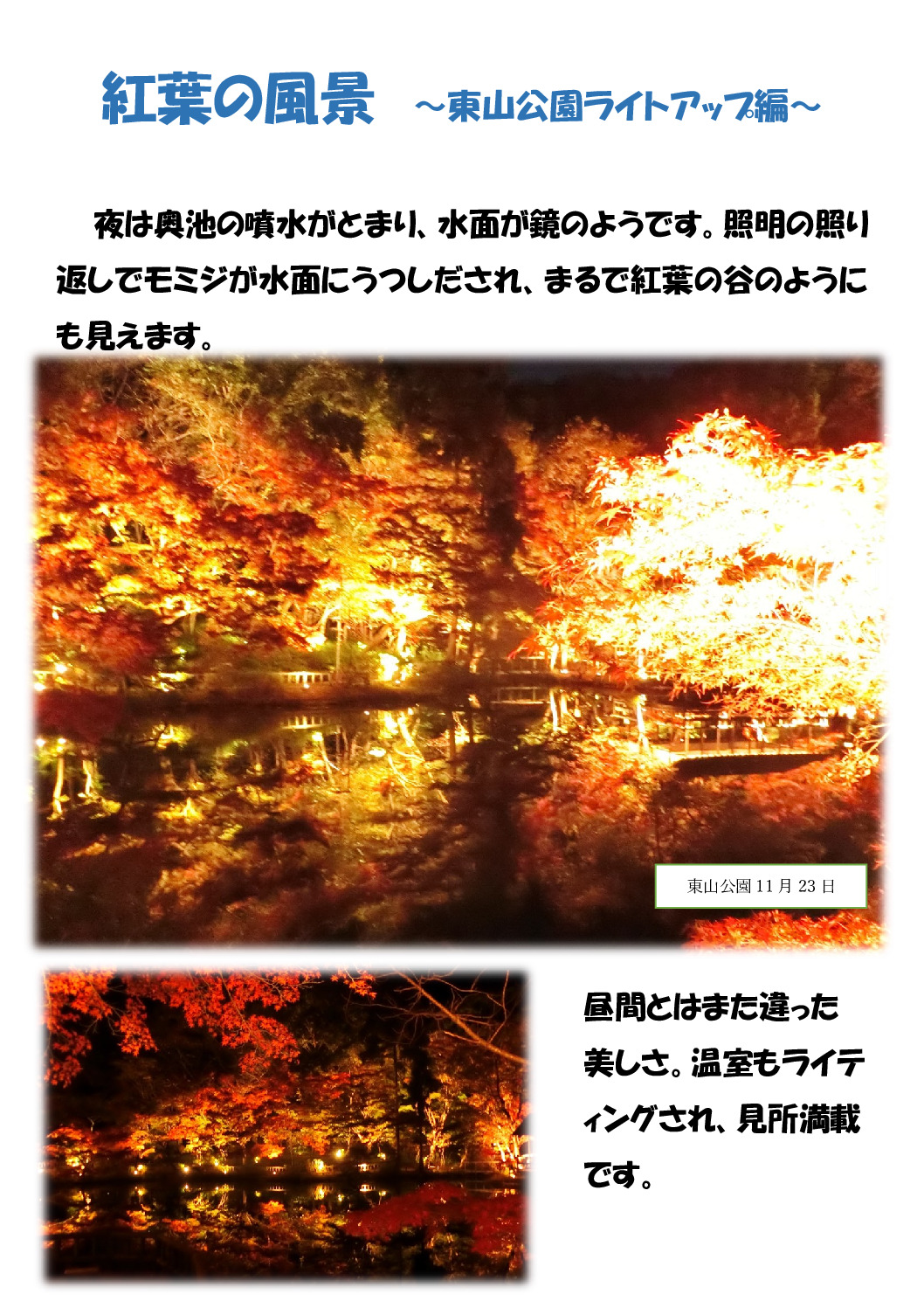 紅葉の名古屋３のサムネイル