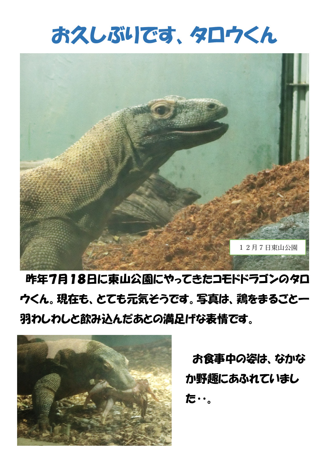 タロウくんのサムネイル