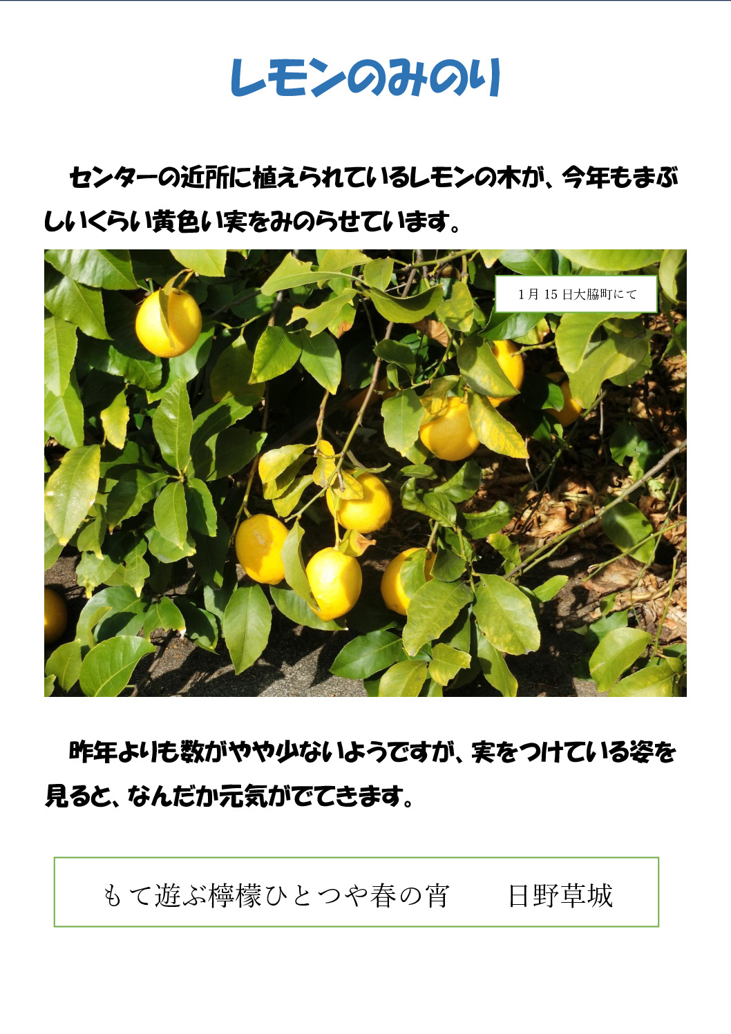 檸檬のみのりのサムネイル