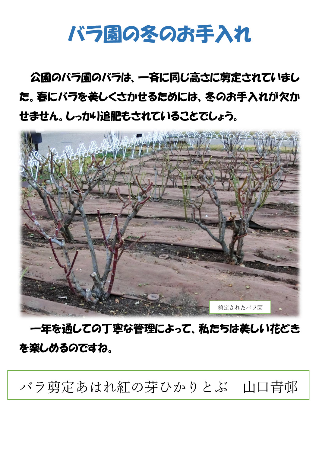 剪定のサムネイル