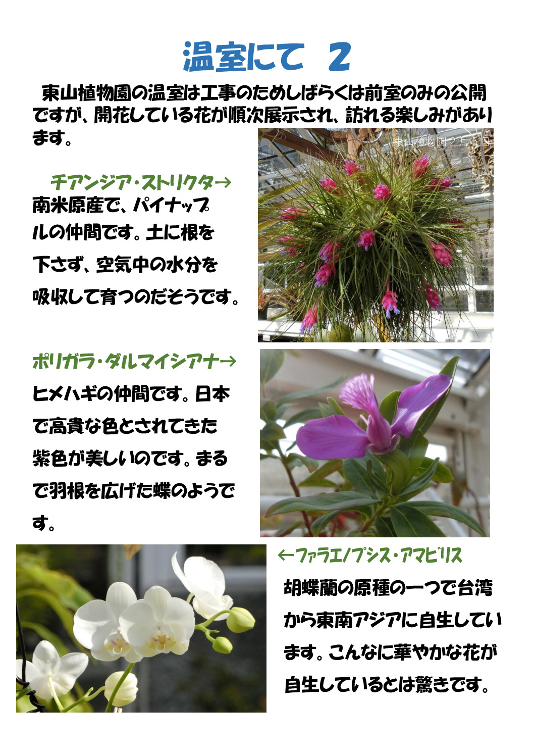 温室にて2のサムネイル