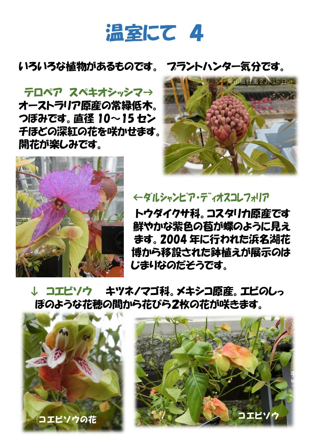 温室にて４のサムネイル