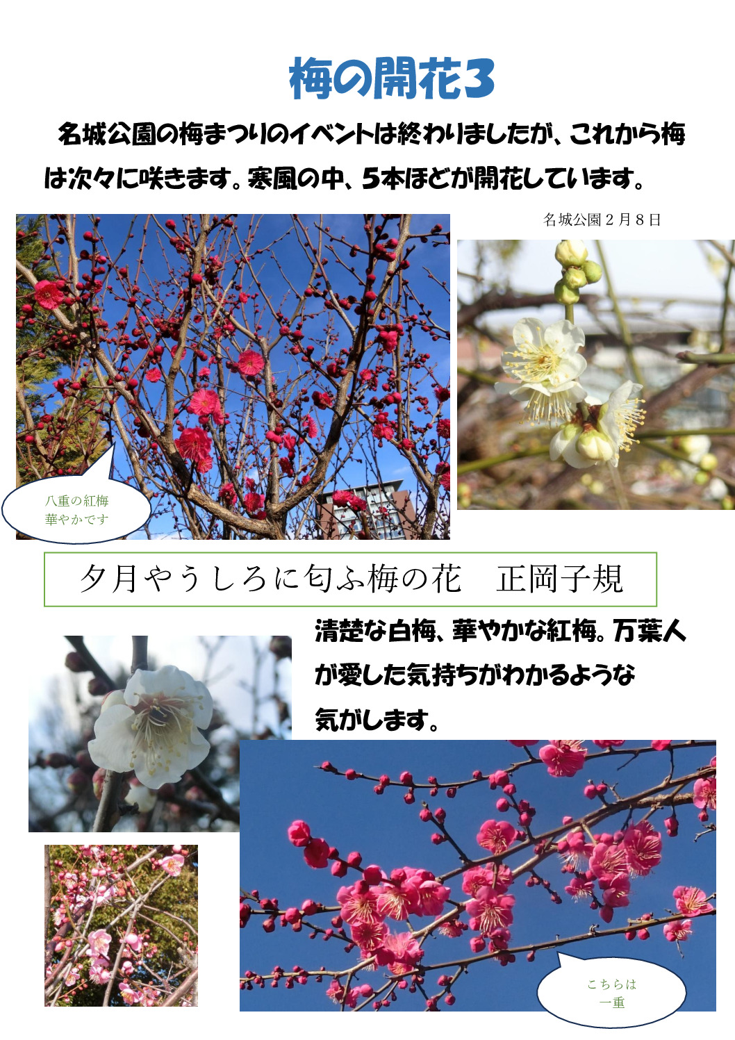 梅3のサムネイル