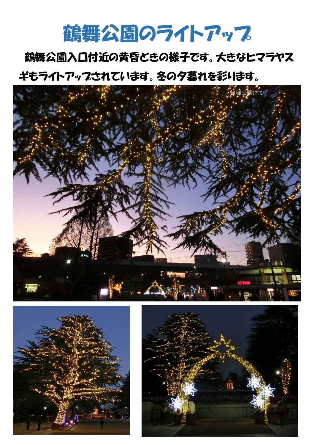 ライトアップのサムネイル