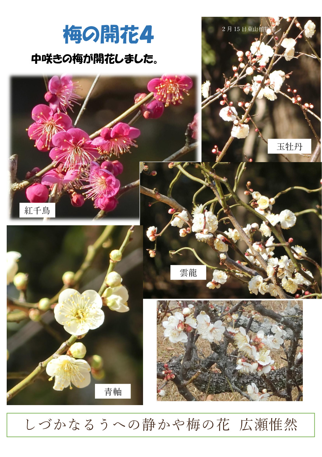 梅４のサムネイル