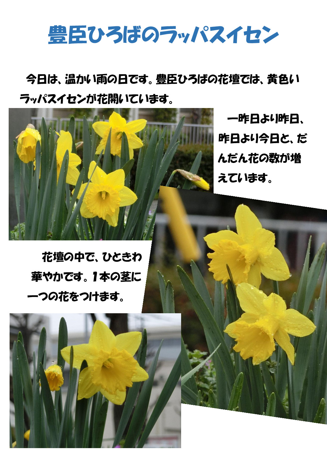 ﾗｯﾊﾟｽｲｾﾝのサムネイル