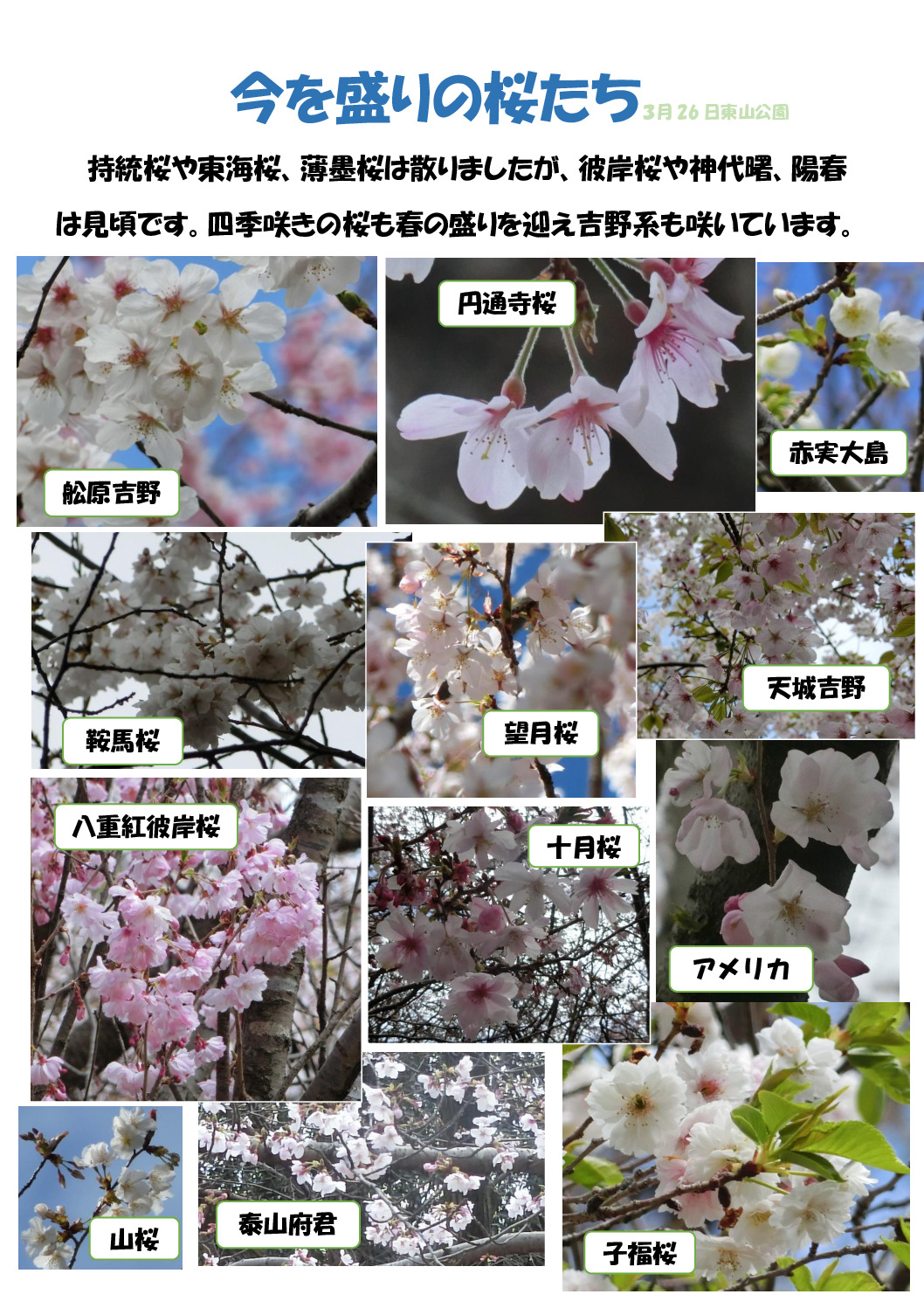 今を盛りののサムネイル