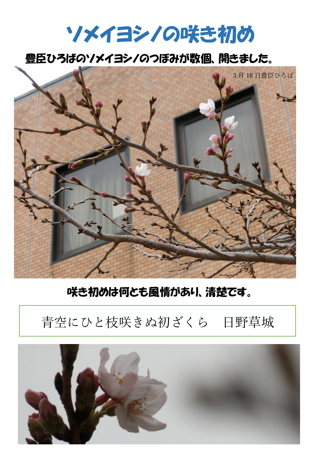 咲き初めのサムネイル