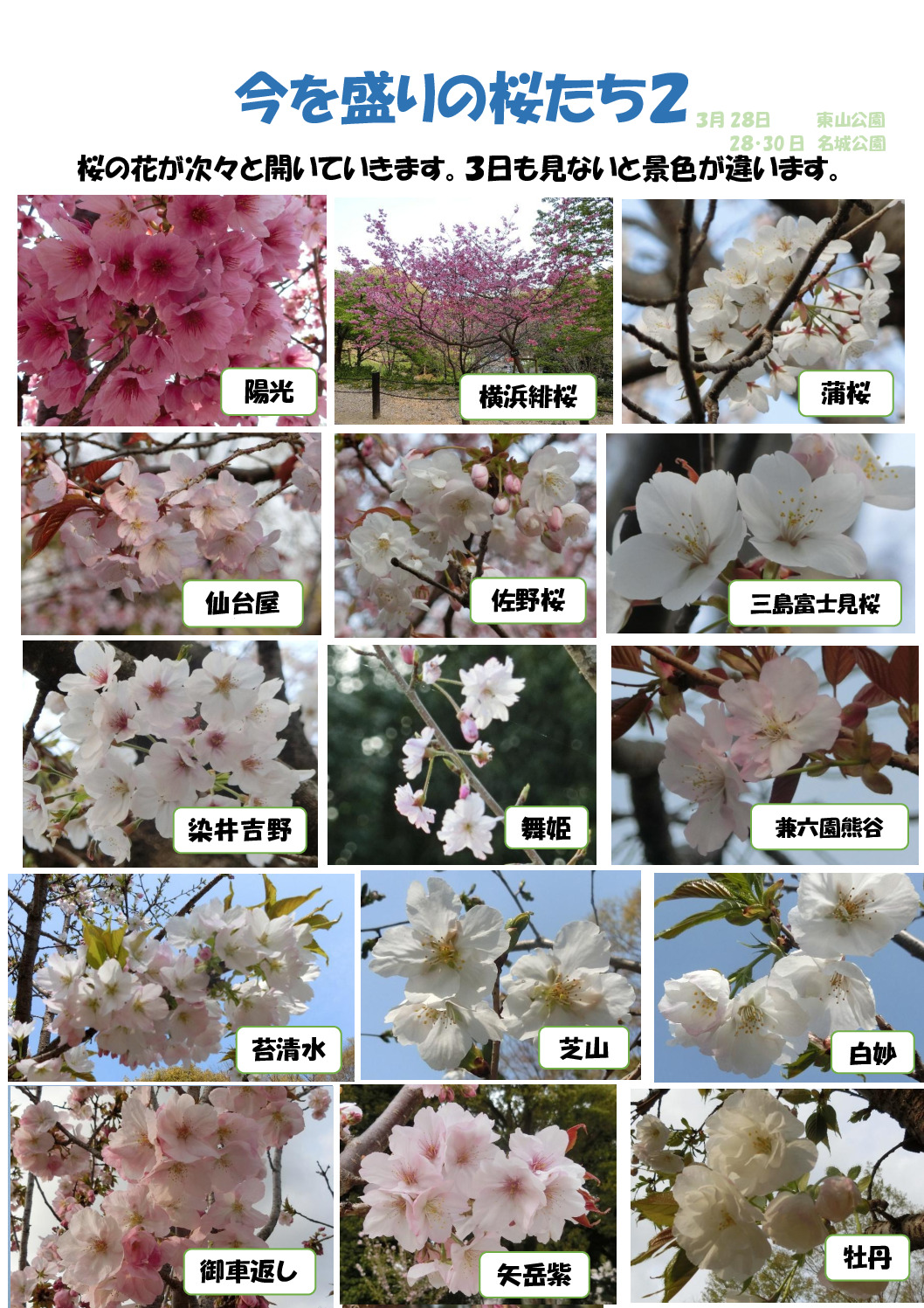 今を盛りの2のサムネイル