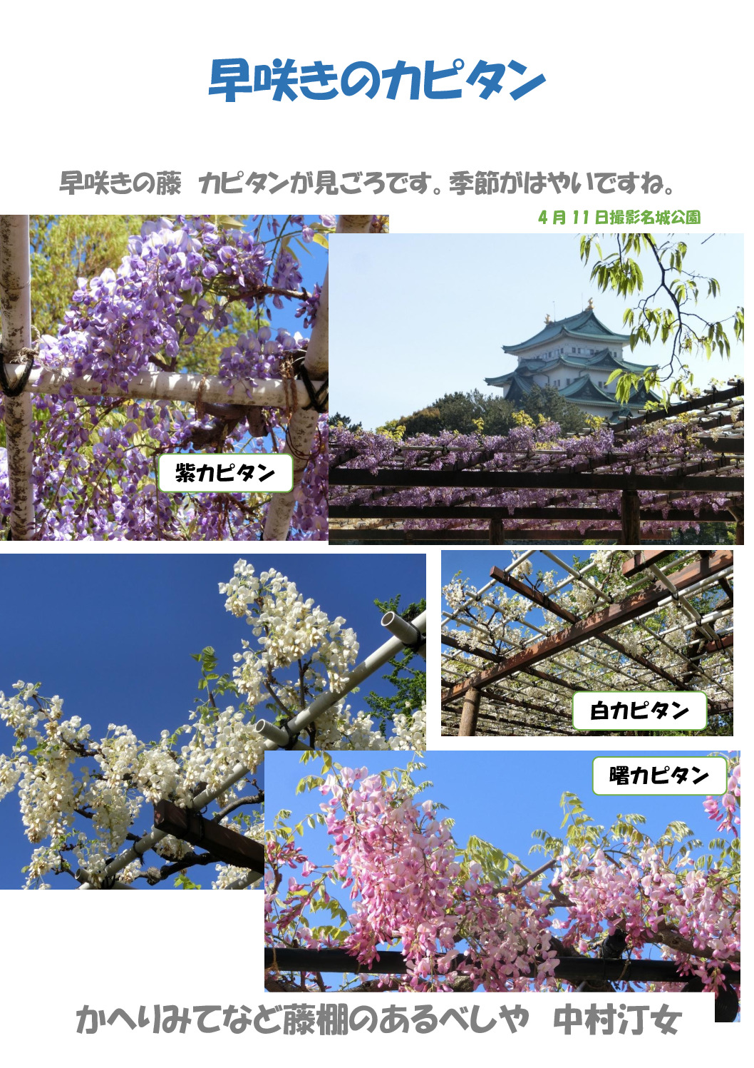 カピタンのサムネイル