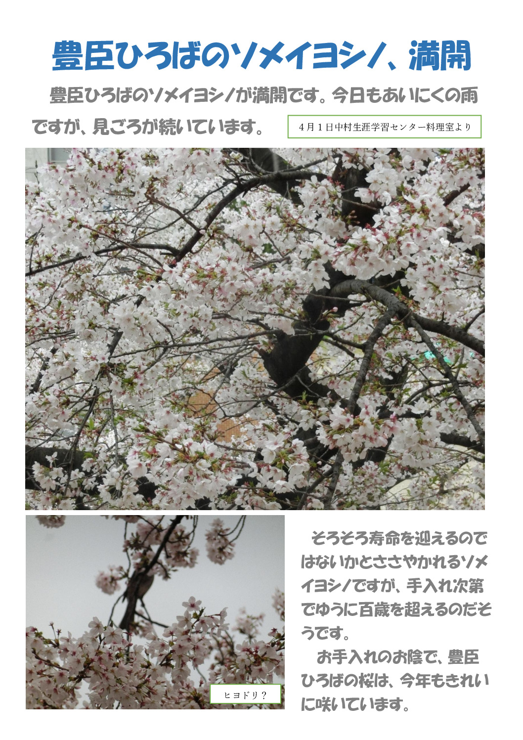 満開のサムネイル