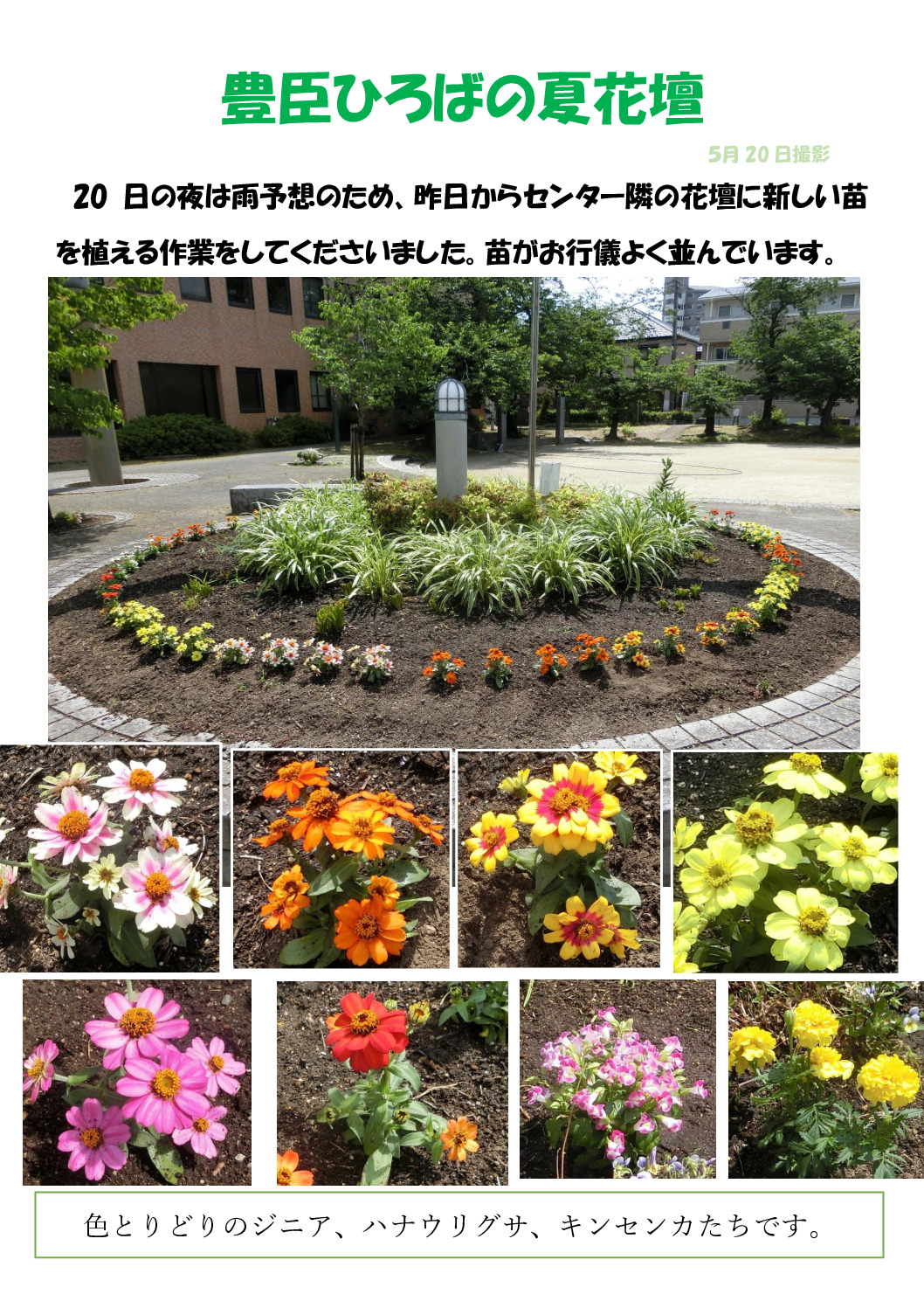 豊臣ひろばの夏花壇のサムネイル