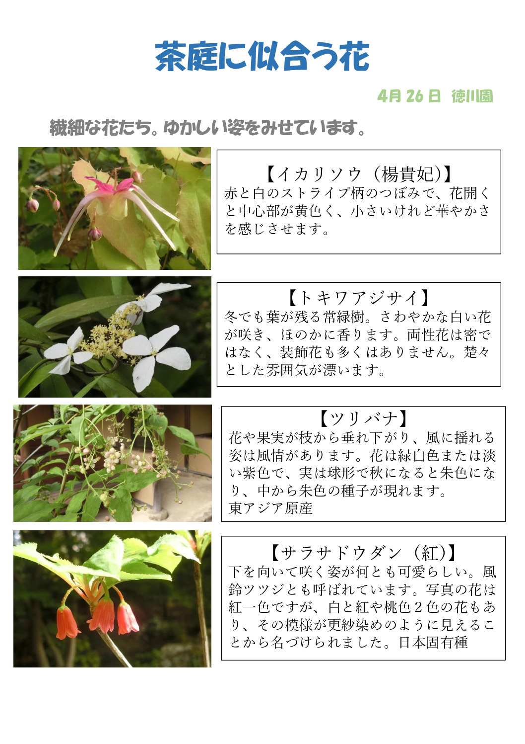 茶席のサムネイル