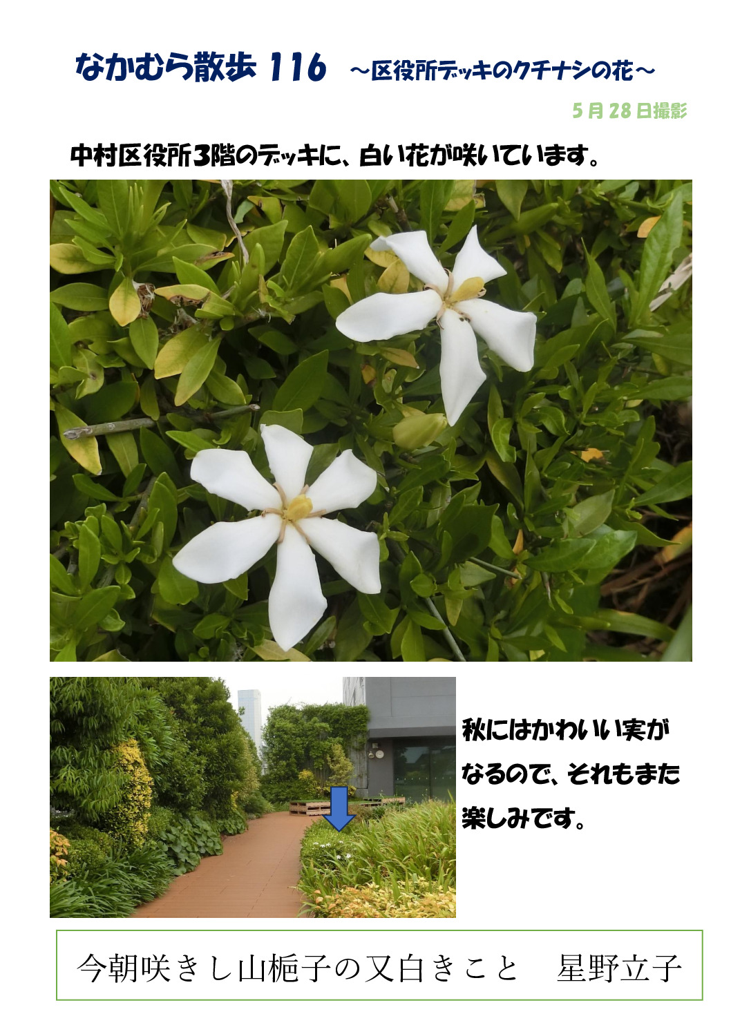 なかむら散歩　116のサムネイル