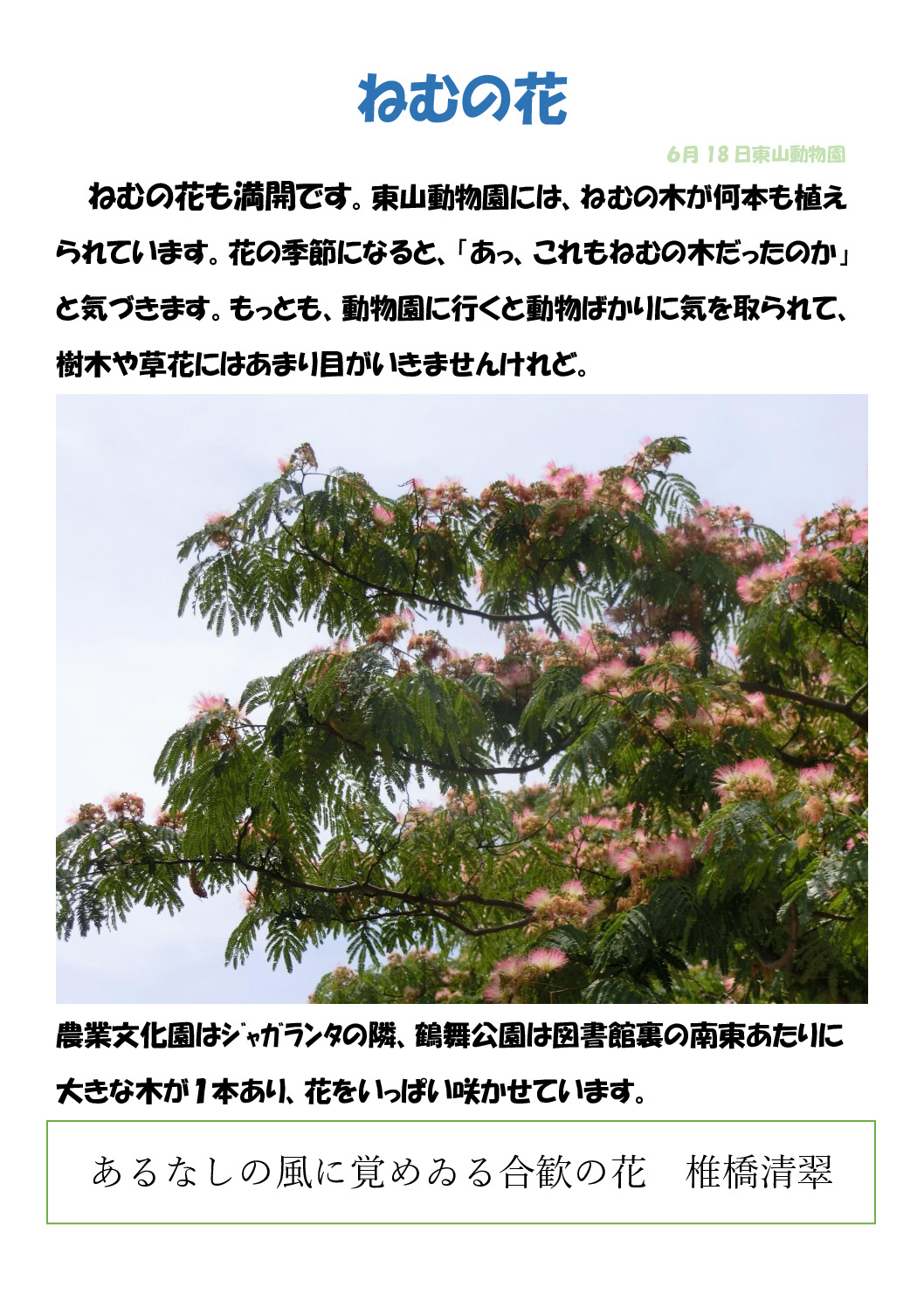 ねむの木のサムネイル