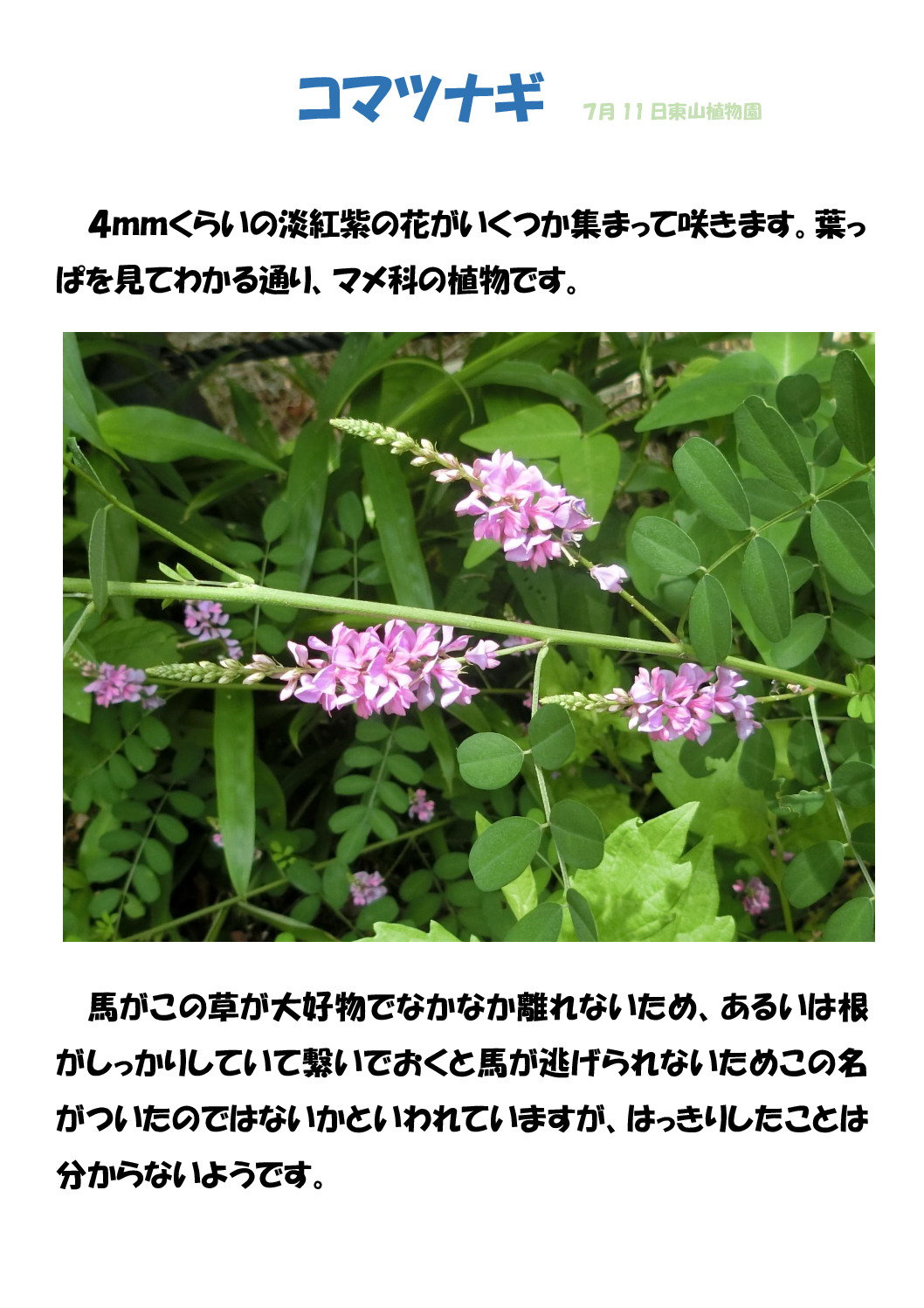 駒繋ぎのサムネイル