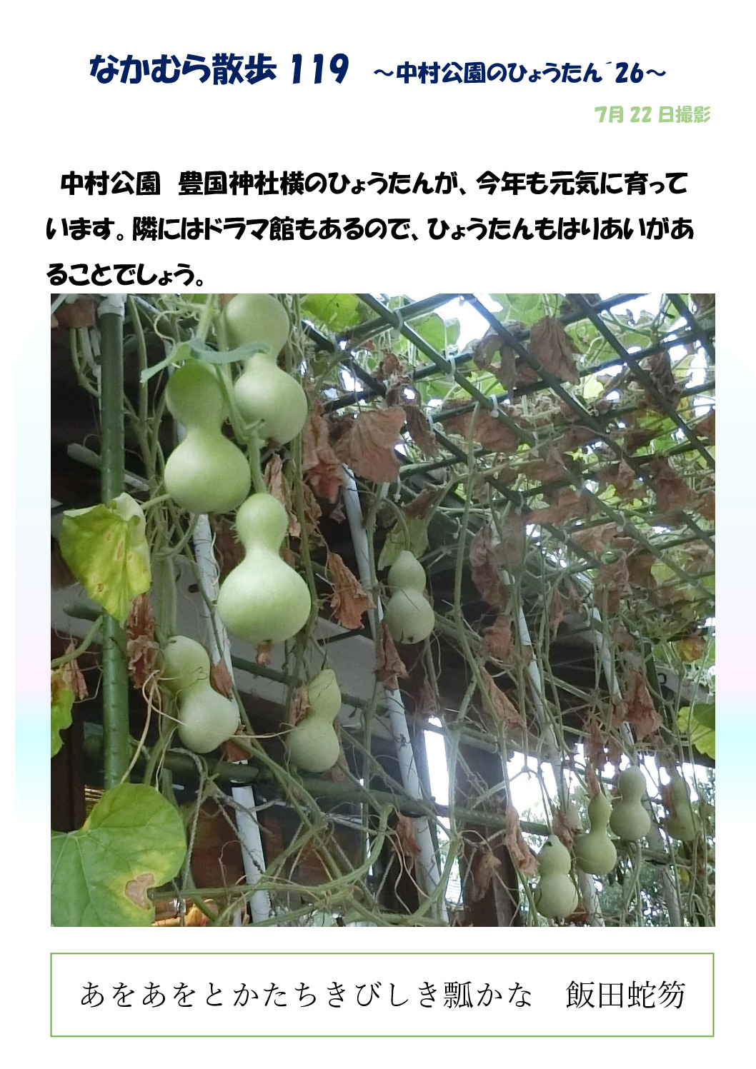 なかむら散歩　11９のサムネイル