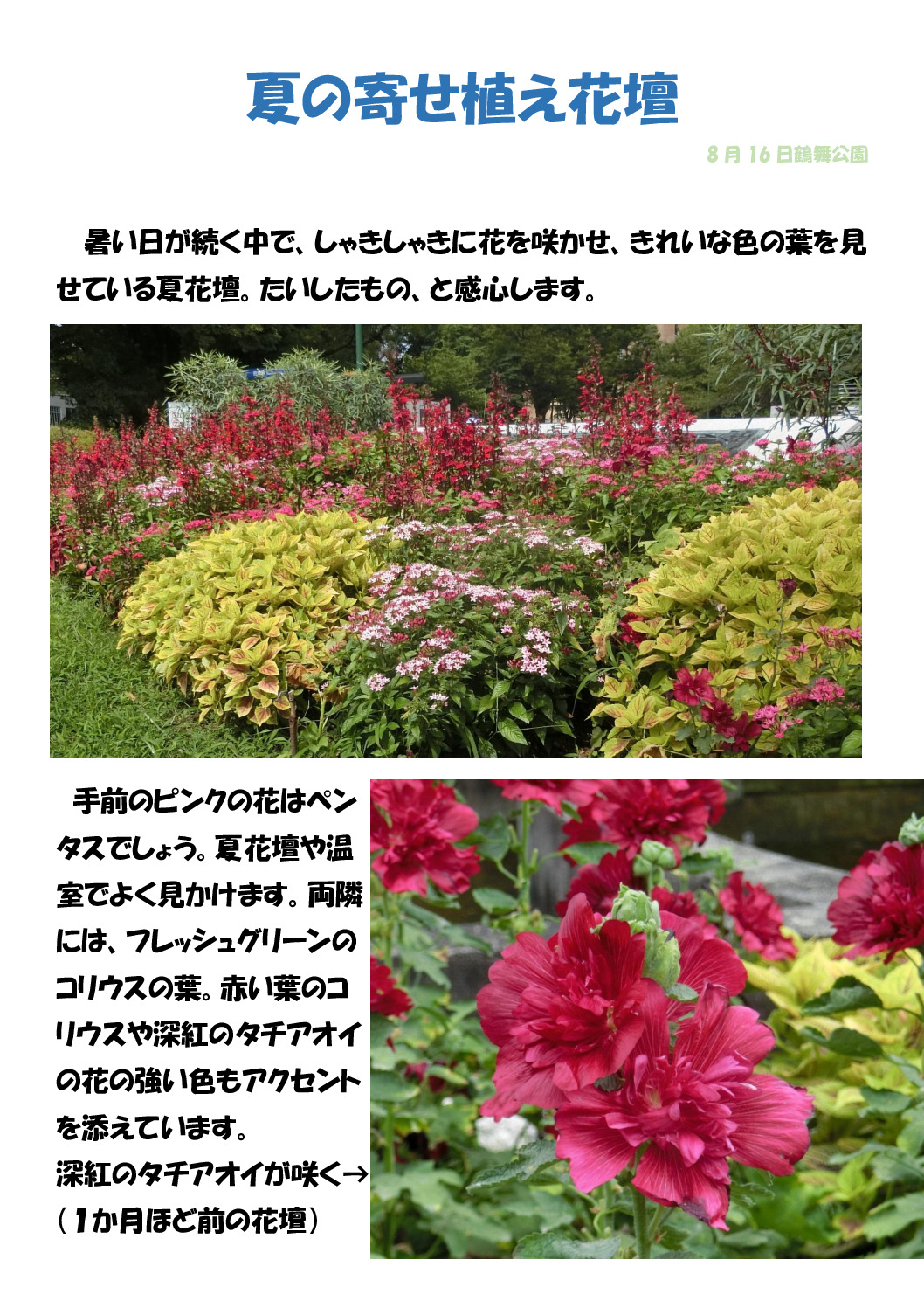 寄せ植え花壇のサムネイル
