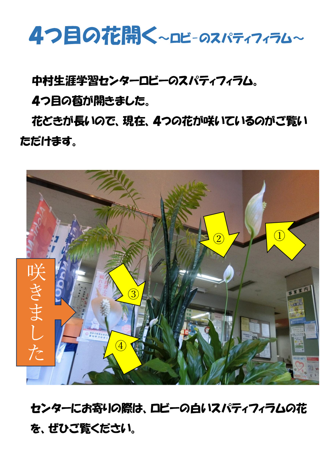 スパてィﾌｨﾗﾑ２のサムネイル